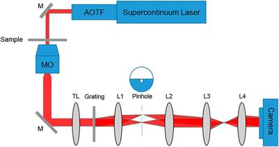 Live Cancer Cell Classification Based on Quantitative Phase Spatial Fluctuations and Deep Learning With a Small Training Set